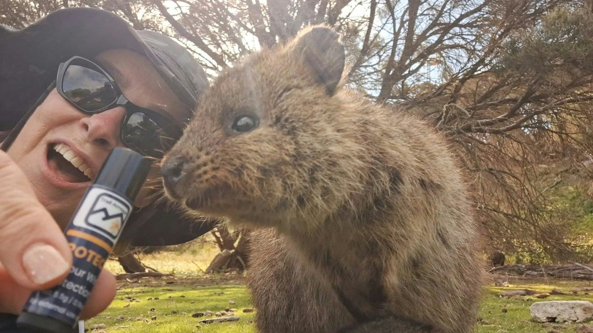 Protect out and about with a Quokka